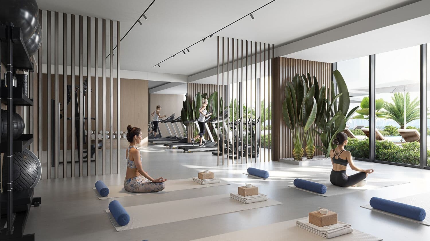Gym