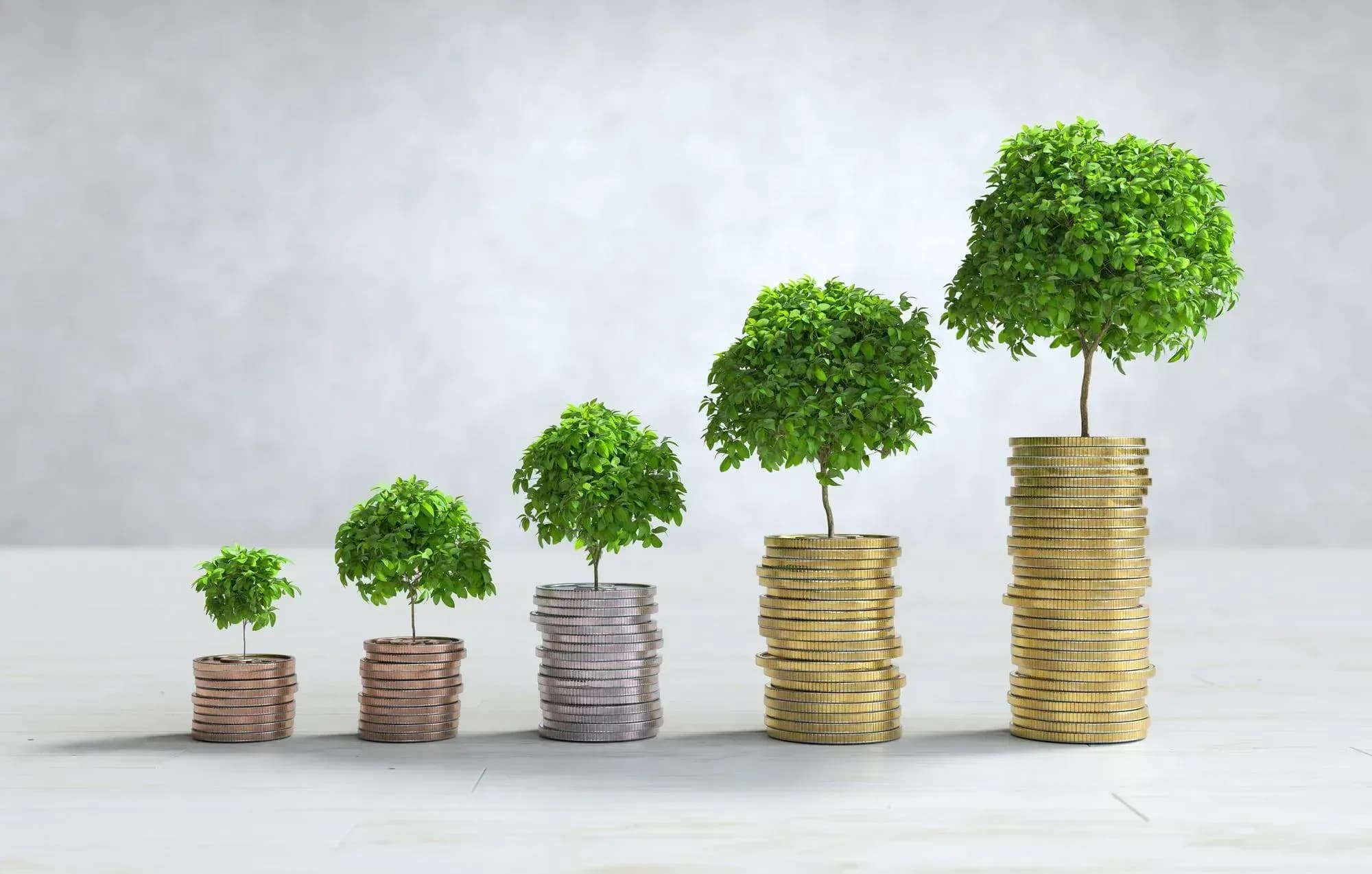 Investment Advisory